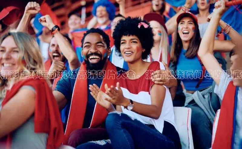 杏盛娱乐百度安全社区精彩足球运动现场高清图片大全，激情燃烧瞬间尽收眼底