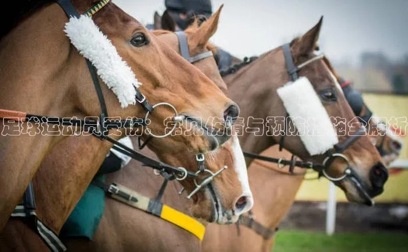 杏盛平台代理百度手机助手足球运动员受伤：常见伤情与预防措施全解析