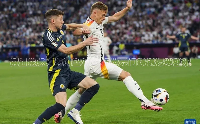 杏盛测速app官方下载最新版每日互动角逐焦点：与展望2023年世界门球锦标赛盛况