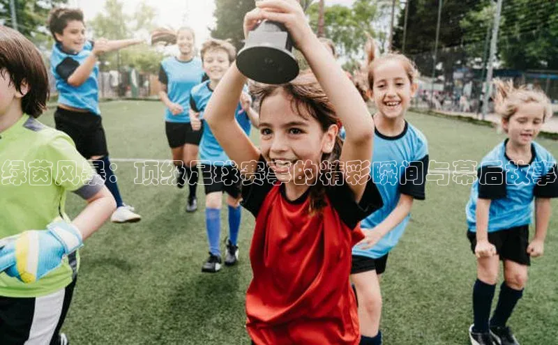 绿茵风暴：顶级足球赛事的精彩瞬间与幕后故事