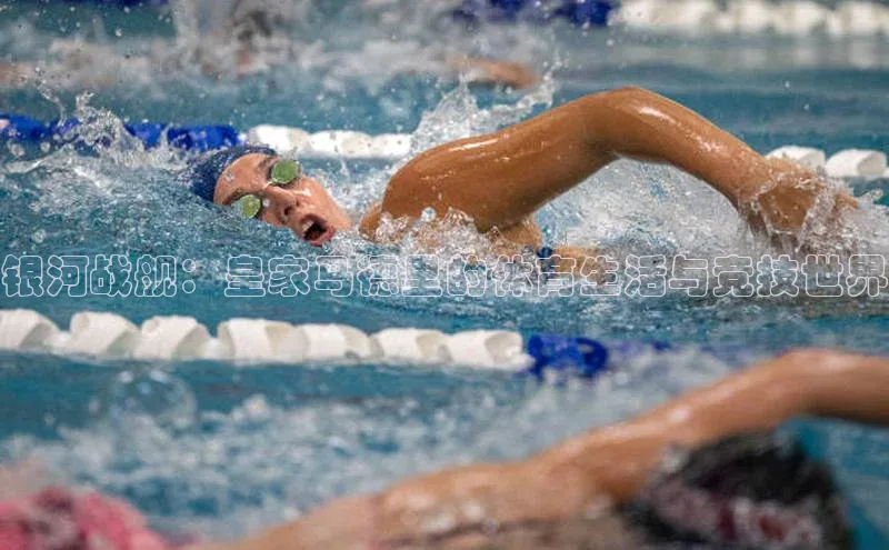 银河战舰：皇家马德里的体育生活与竞技世界