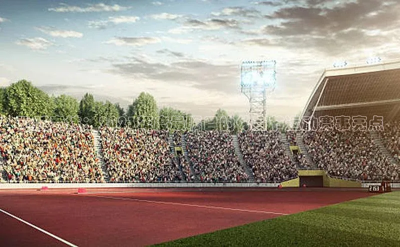 飞跃竞技：2023年度最瞩目的体育节运动赛事亮点