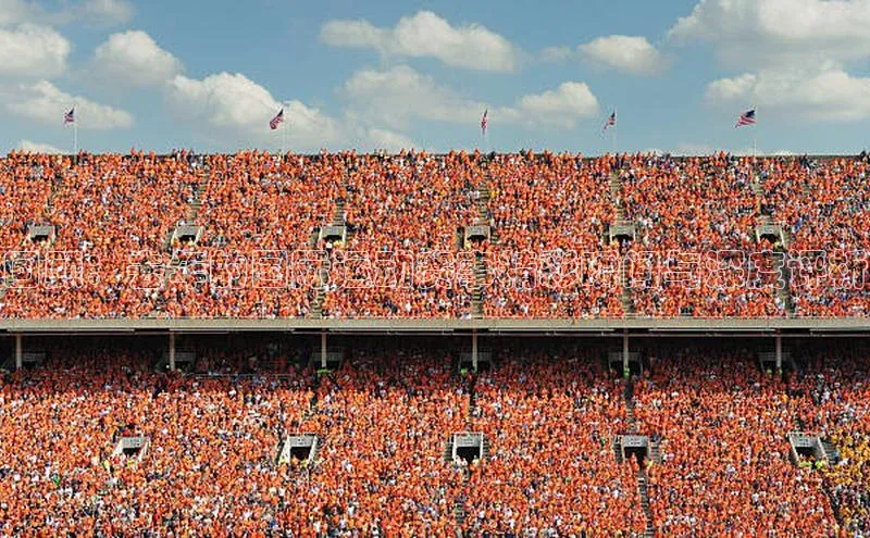 回顾：去年的国际运动赛事精彩瞬间与深度评析