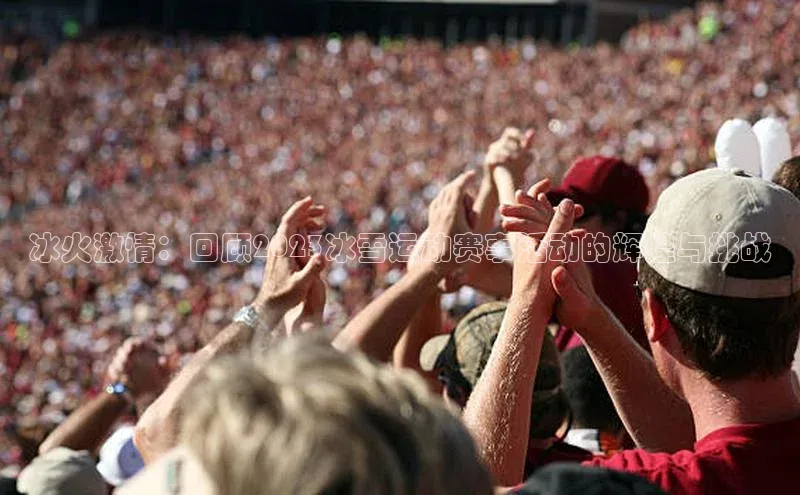 冰火激情：回顾2023冰雪运动赛事活动的辉煌与挑战