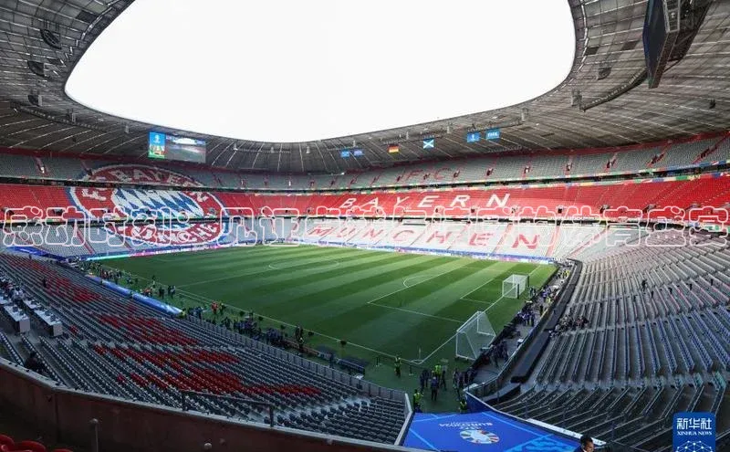 感动时刻：见证卓越与情感的体育盛宴