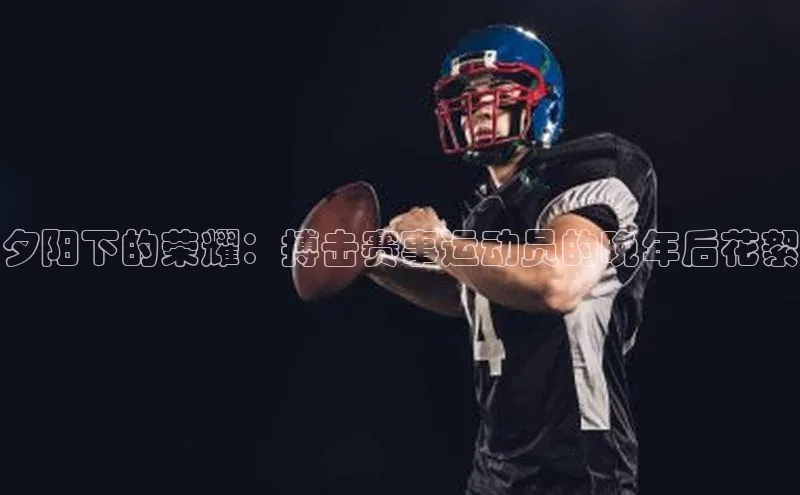 夕阳下的荣耀：搏击赛事运动员的晚年后花絮